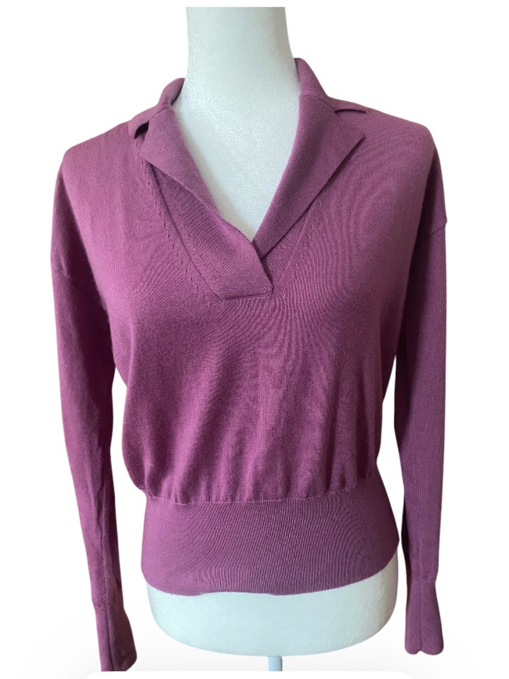 Banana Republic 100% Merino Wool Polo Sweater Purple XS